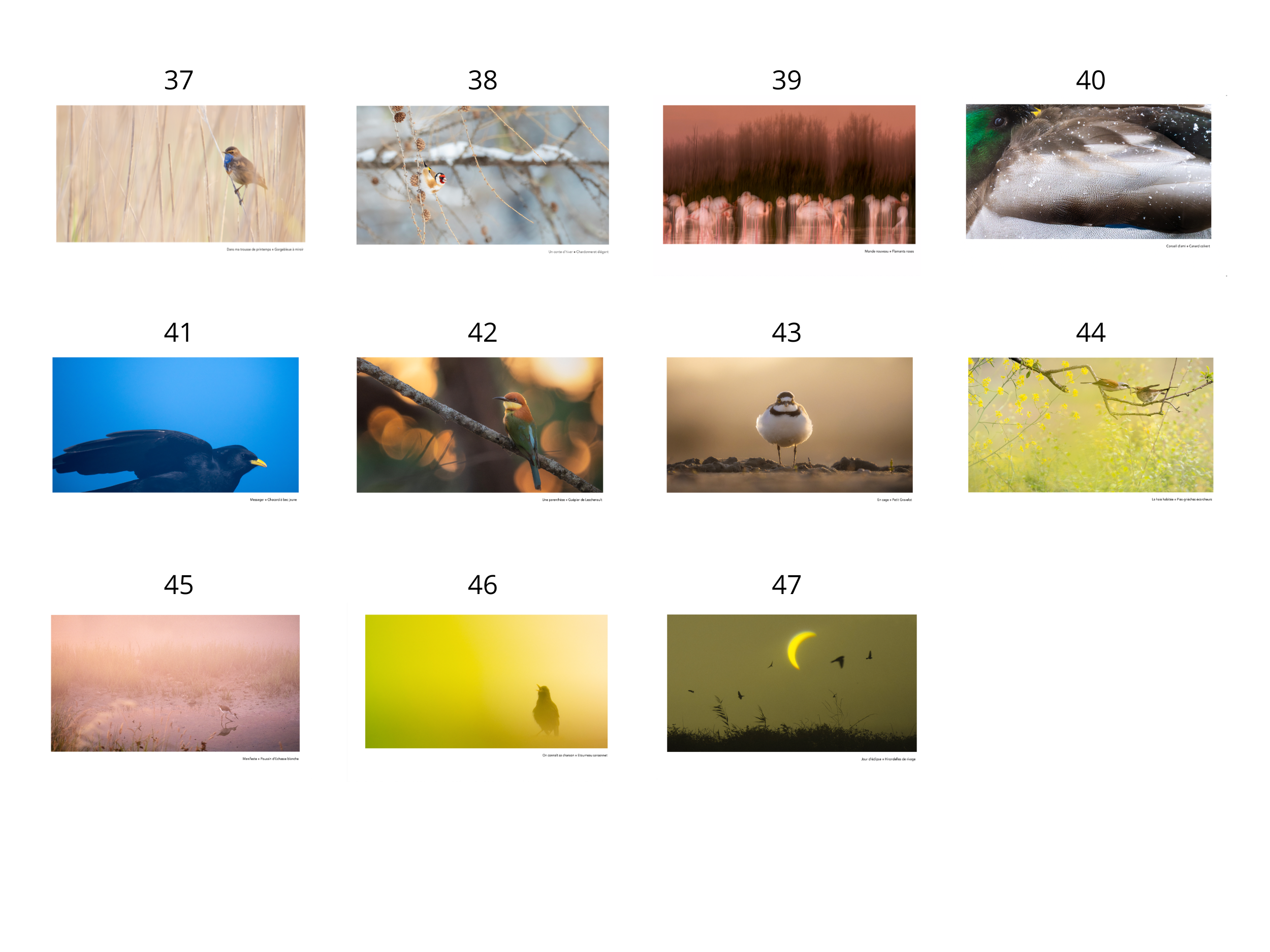 Set de 5 cartes postales – Image 5