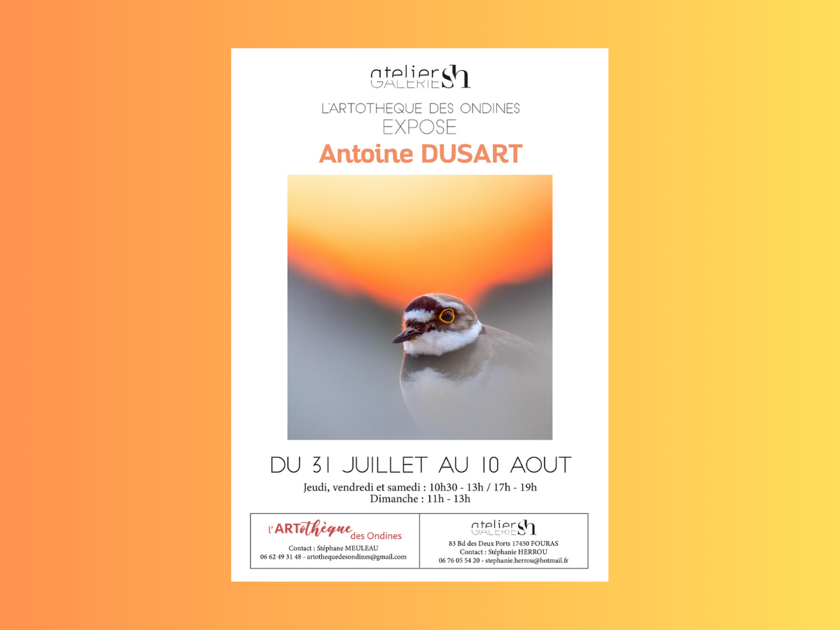 Exposition d’été – Galerie SH, Fouras